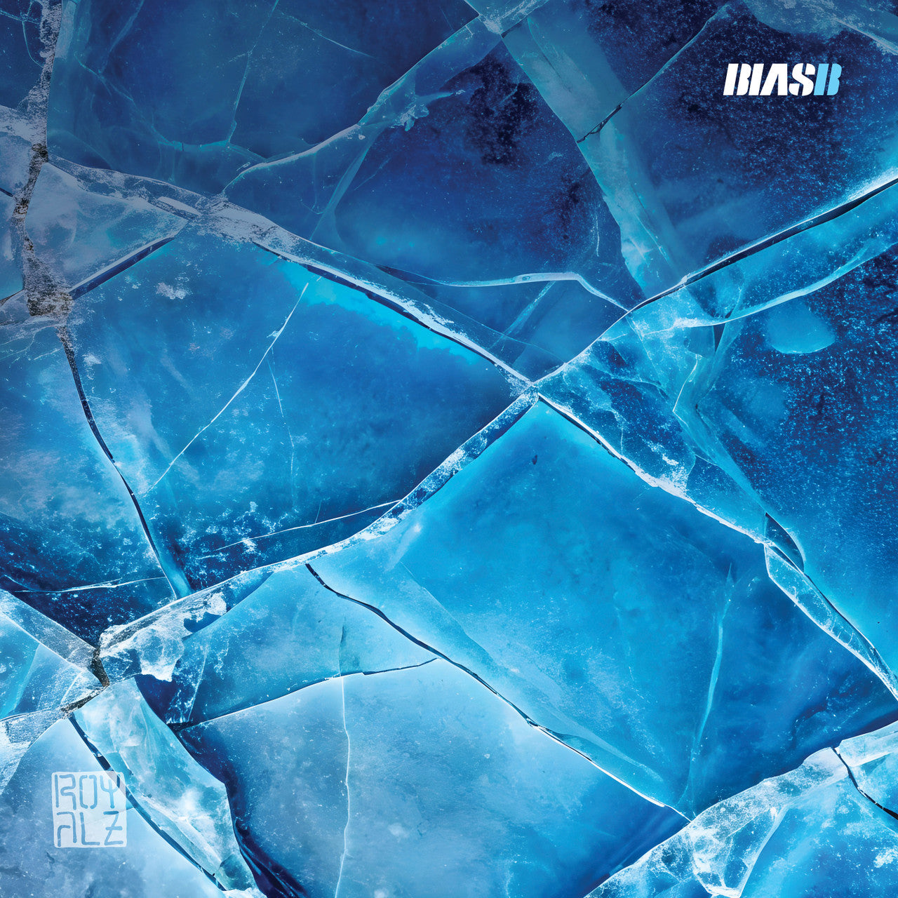 BIAS- B Brrr RECORD