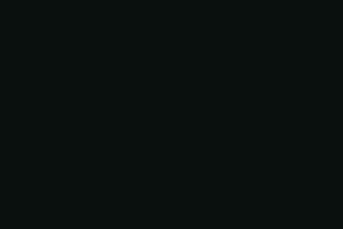 Blk-9001. Montana Black NC Formula - Black