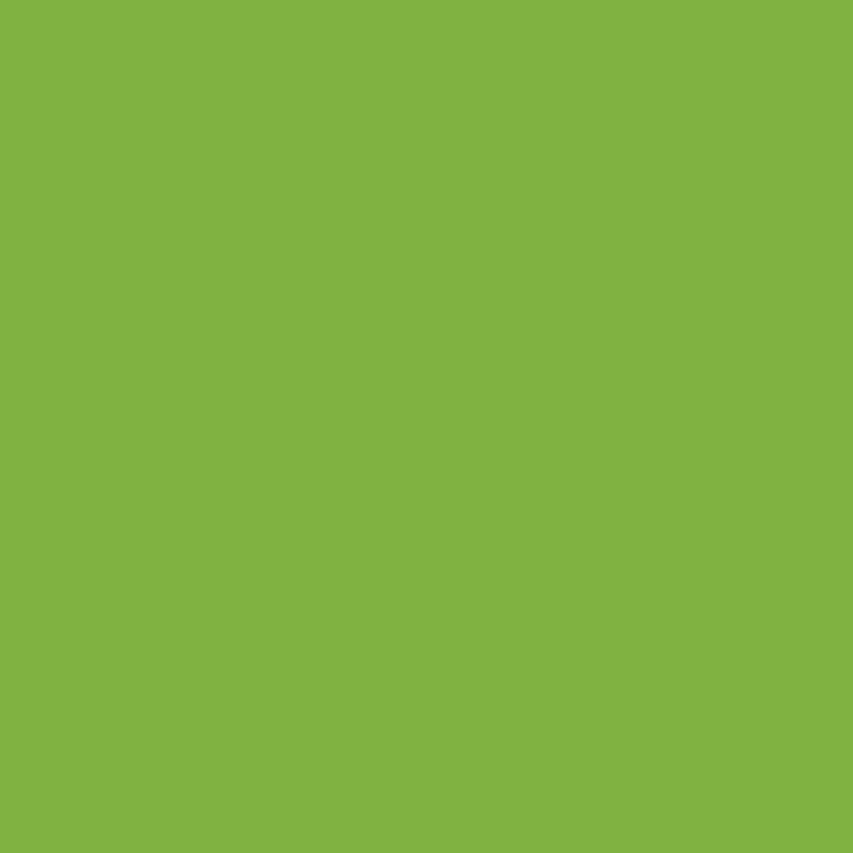 Blk P-6000. Montana Black NC Formula - Power Green