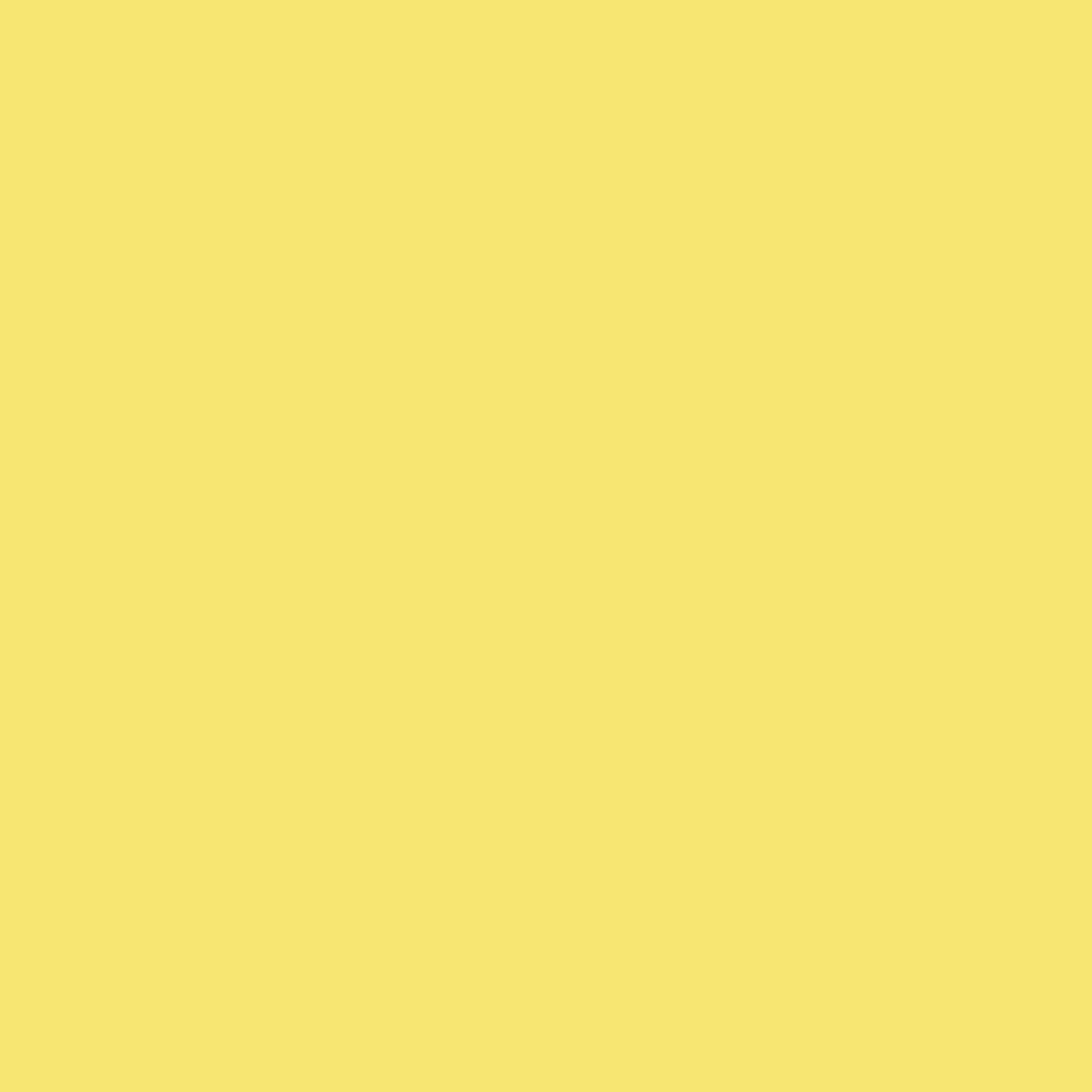 Blk-1010. Montana Black NC Formula - Easter Yellow