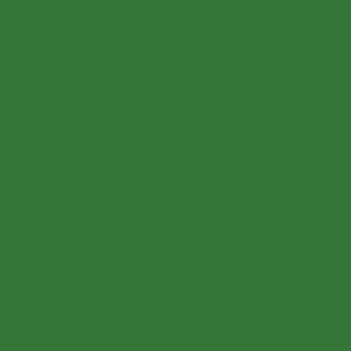 Blk-6095. Montana Black NC Formula - Plant