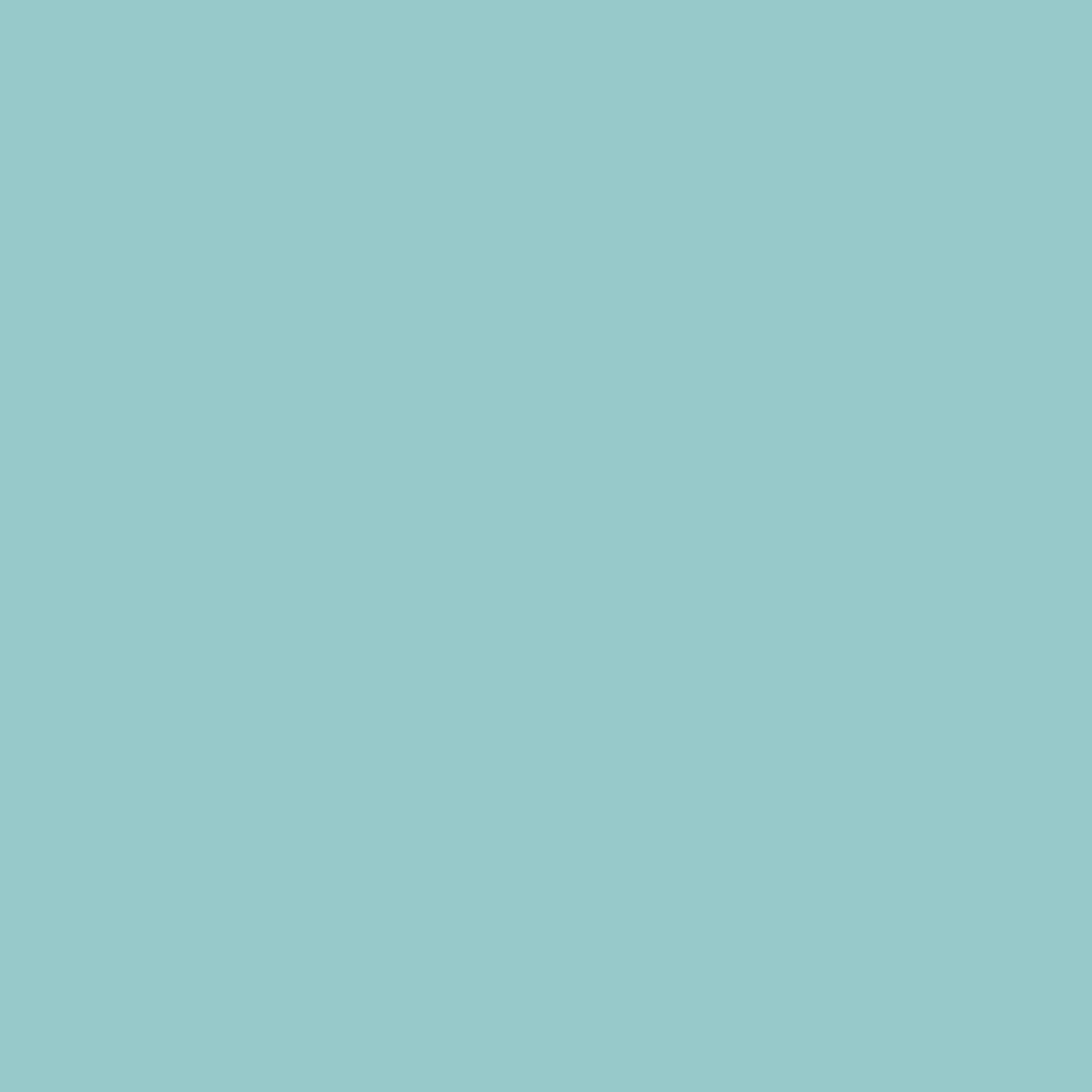 Blk-6110. Montana Black NC Formula - Tiffany