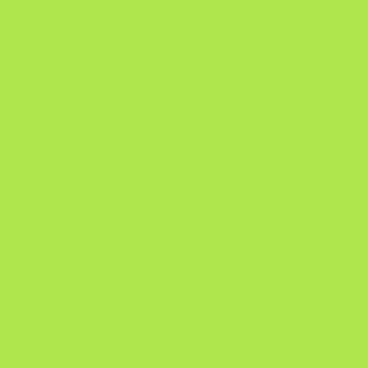 Montana Acrylic Marker 2mm Fine - Fluro Acid Green