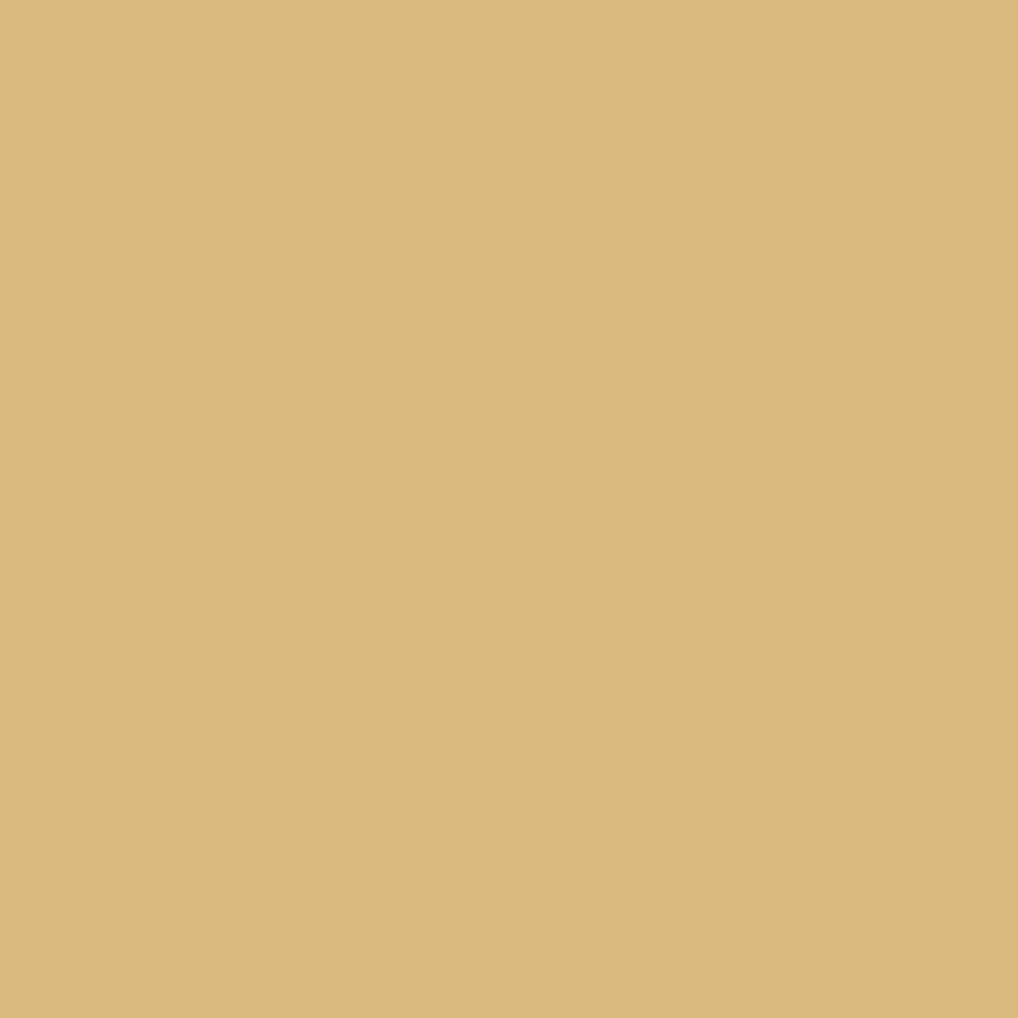 Montana - Acrylic Paint Refill 180ml - Sahara Beige