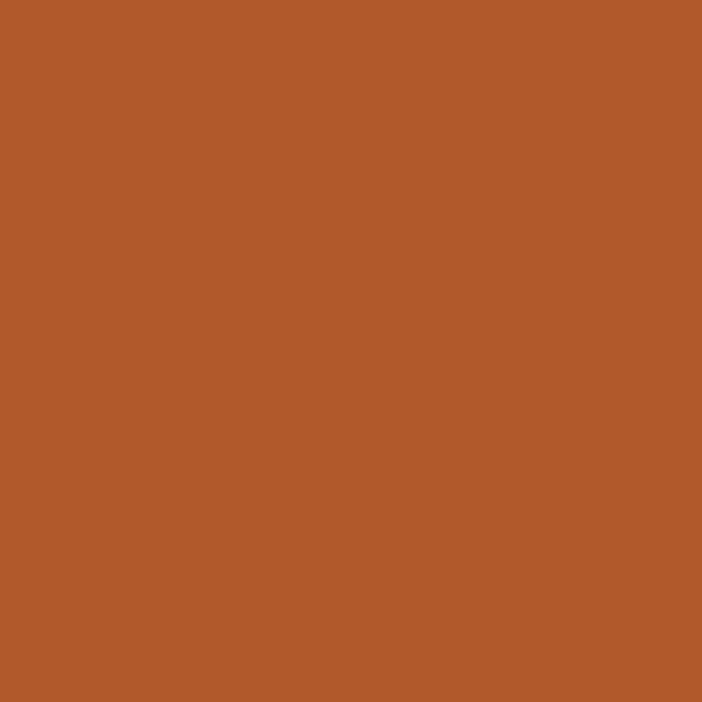 Montana - Acrylic Paint Refill 180ml - Shock Brown Light