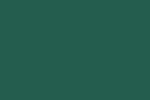 FO-636. Flame Orange - Fir Green