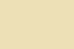 FO-702. Flame Orange - Ivory Light