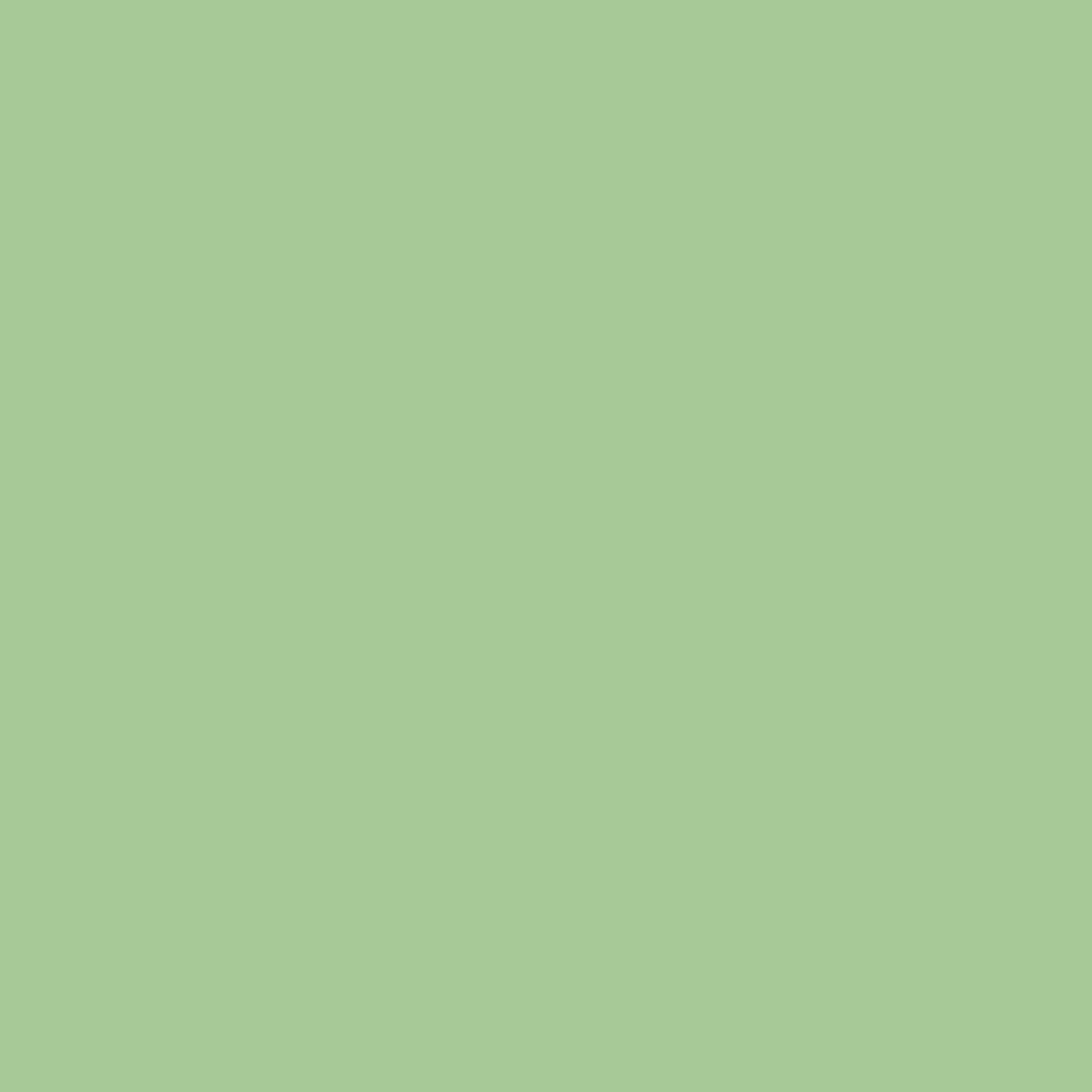 Blk-6210. Montana Black NC Formula - E2E Green
