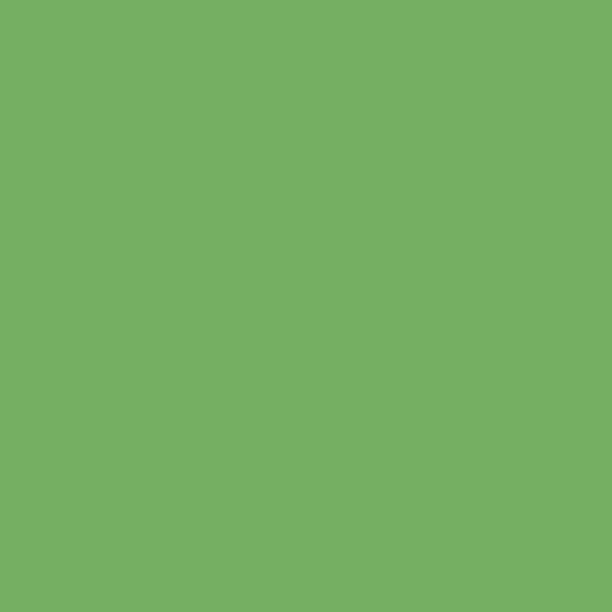 Blk-6220. Montana Black NC Formula - Revolt Green