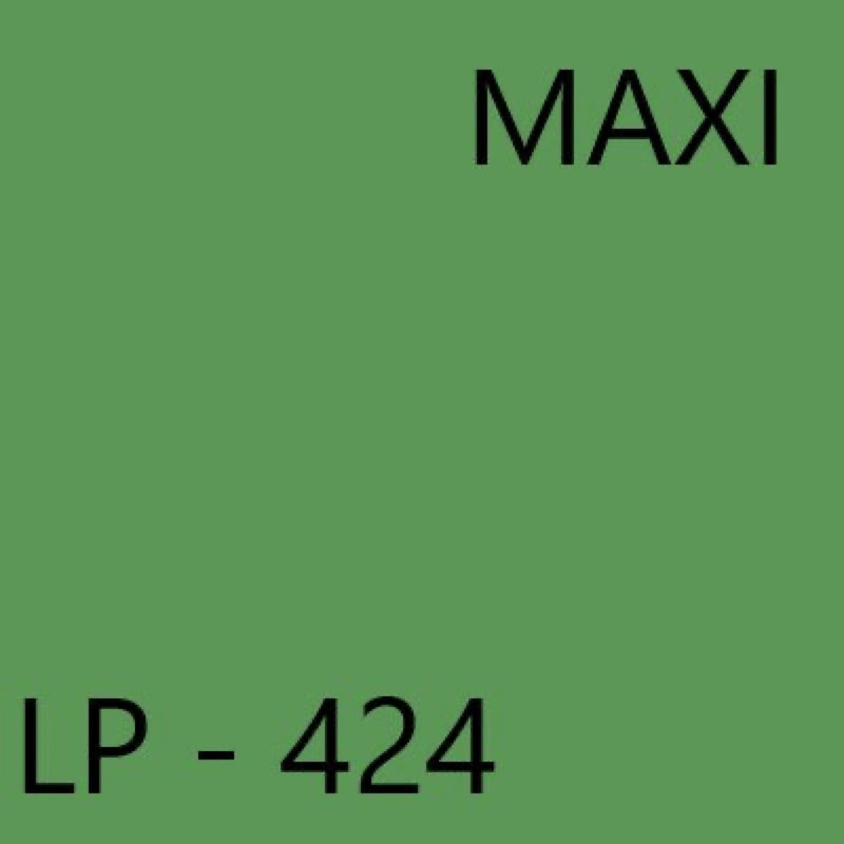 Lp-424. Loop - Maxi - Lucca