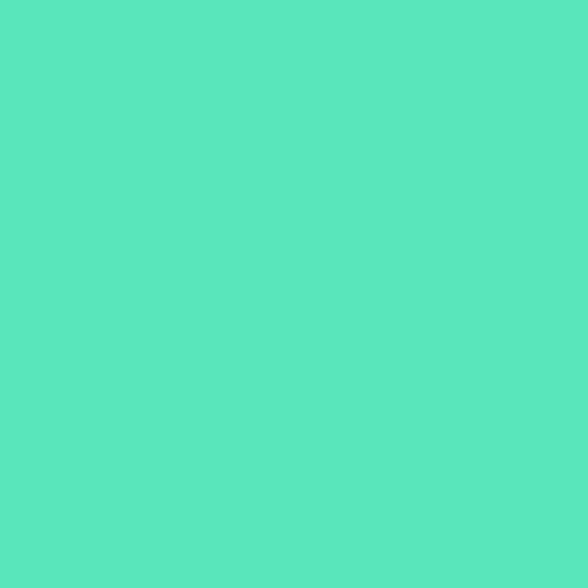 Dope Cans 600 ml - MINT